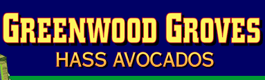 Greenwood Groves Avocados